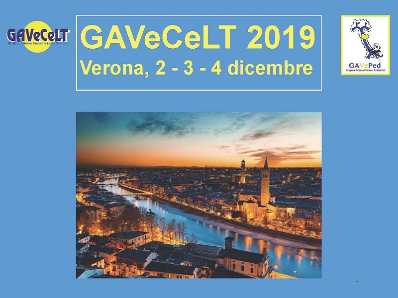 2-4 Dicembre 2019, GAVeCeLT 