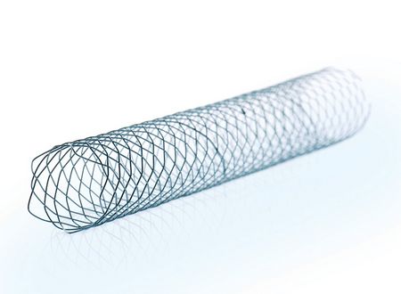 BILIARY STENT