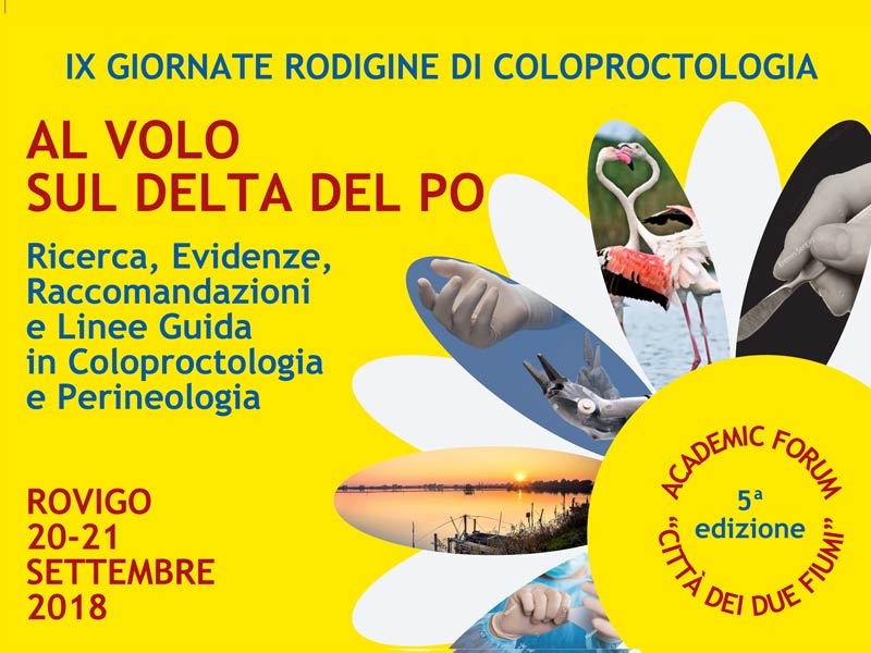 20-21 Settembre 2018 - IX GIORNATE RODIGINE DI COLOPROCTOLOGIA