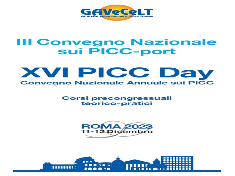 11-12 DICEMBRE 2023 - XVI PICC DAY 