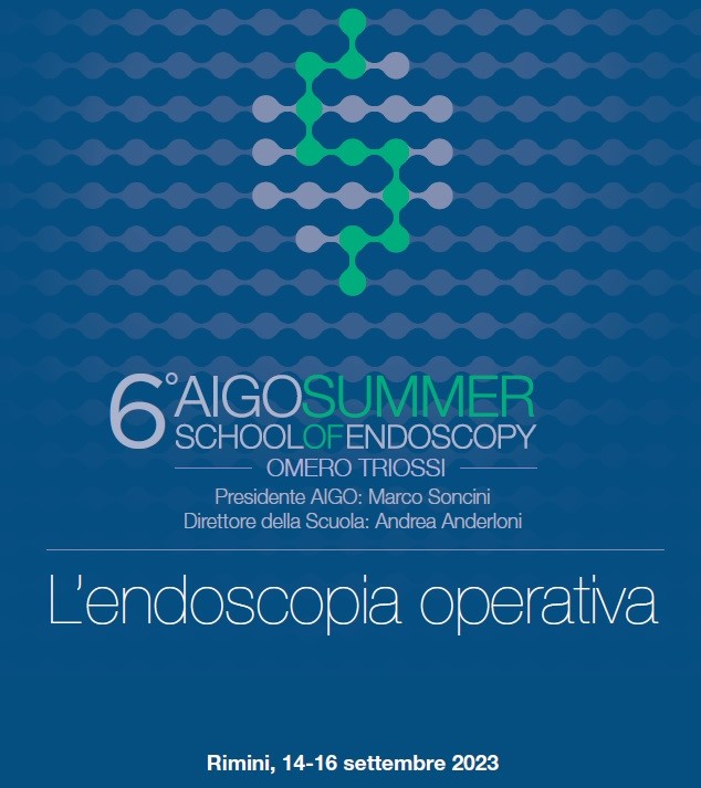 aigo summer school