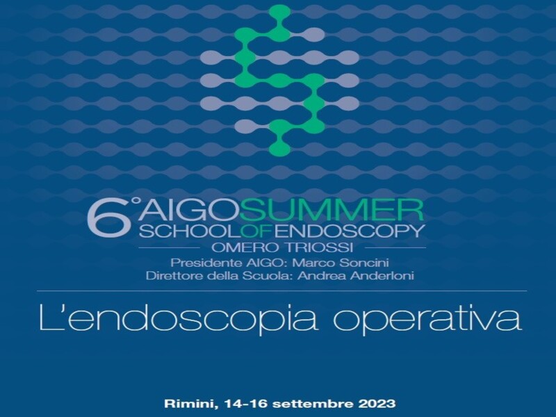 14-16 SETTEMBRE 2023 - AIGO SUMMER SCHOOL 